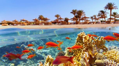 AIR TICKETS PROMOTION! Egypt, Bucharest - Hurghada - Bucharest 16.07.2025-23.07.2025 221 €