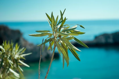 BILETE DE AVION! OFERTE! Grecia, Bucureștiul - Santorini - Bucureștiul 29.07.2026-05.08.2026 148 &euro;