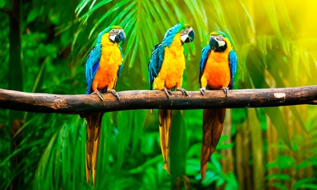 BILETE DE AVION! OFERTE! Republica Dominicană, Varșovia - Punta Cana - Varșovia 27.12.2025-10.01.2026 1589 €