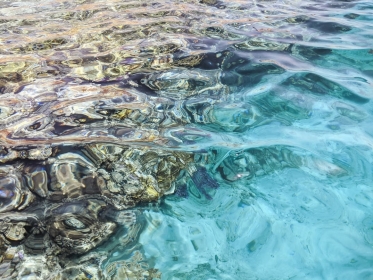 АВИАБИЛЕТЫ! АКЦИЯ! Египет, Кишинев - Шарм-Эль-Шейх - <br>Кишинев 03.03.2026-13.03.2026 388 &euro;