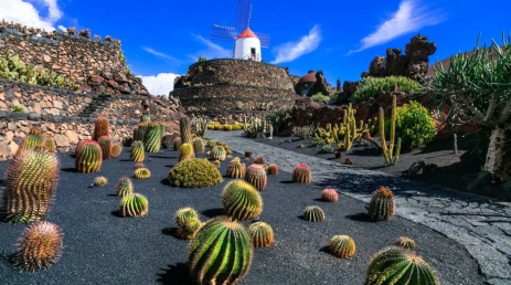 AIR TICKETS PROMOTION! Spain, Warsaw - Lanzarote - Warsaw 18.10.2025-25.10.2025 353 €