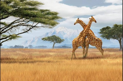 BILETE DE AVION! OFERTE! Tanzania, Katowice - Zanzibar - Katowice 06.10.2025-13.10.2025 609 €