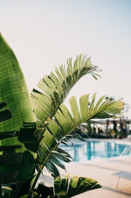 BILETE DE AVION! OFERTE! Turcia, Antalya - Chișinăul 26.05.2025 68 €