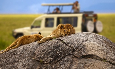 AIR TICKETS PROMOTION! Tanzania, Warsaw - Zanzibar - Warsaw 13.10.2025-20.10.2025 702 €