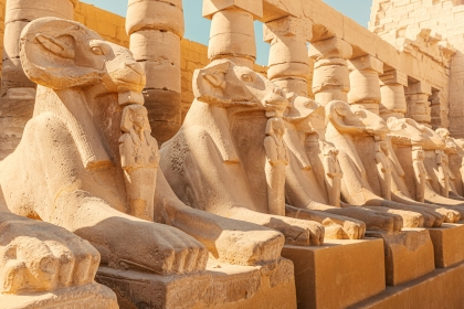 BILETE DE AVION! OFERTE! Egiptul, Bucureștiul - Hurghada 26.06.2026 159 &euro;