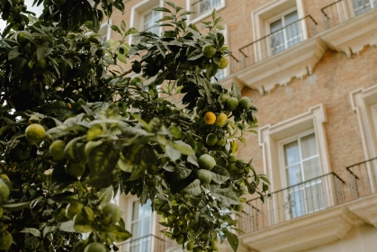 BILETE DE AVION! OFERTE! Spania, Bucureștiul - Malaga - Bucureștiul 12.04.2026-19.04.2026 350 &euro;