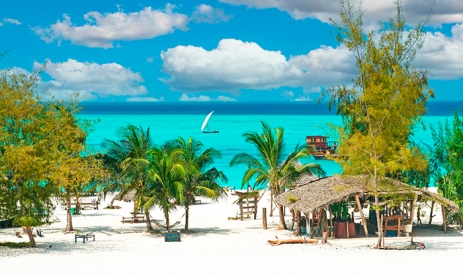 BILETE DE AVION! OFERTE! Tanzania, Warsaw - Zanzibar - Warsaw 05.12.2024-16.12.2024 480 €