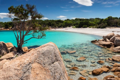 BILETE DE AVION! OFERTE! Italia, Bucureștiul - Sardinia - Bucureștiul 27.07.2025-03.08.2025 421 €