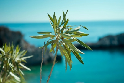 BILETE DE AVION! OFERTE! Grecia, Bucureștiul - Kos - Bucureștiul 29.06.2026-06.07.2026 219 &euro;