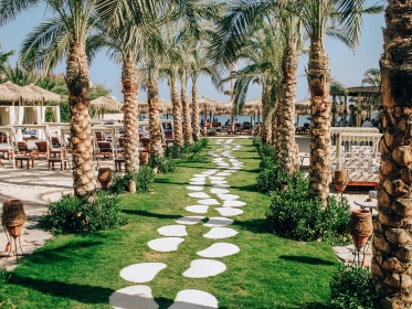 BILETE DE AVION! OFERTE! Egiptul, Hurghada - Bucureștiul 26.06.2026 63 &euro;